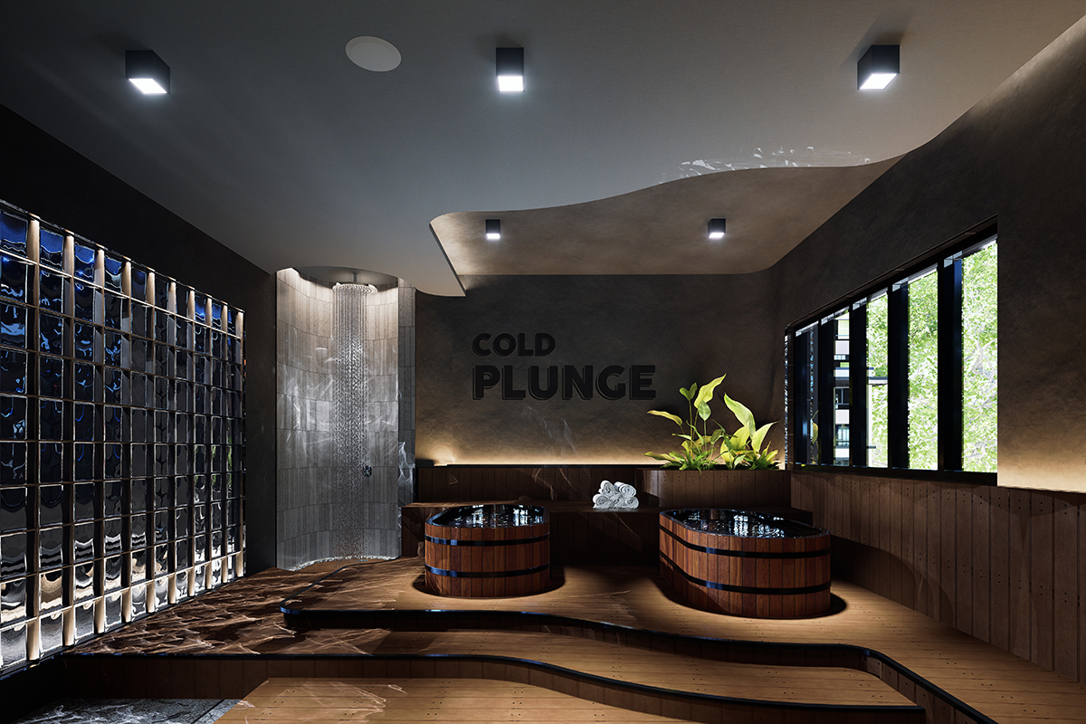 Ice Plunge & Sauna
